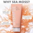 Wishful – Get Clean 2% PHA & Sea Moss Gentle Foaming Cleanser – Full Size